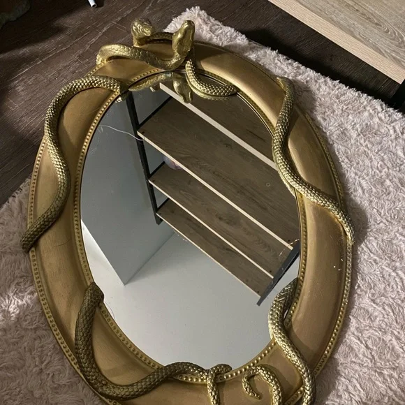 Homemade Harry Potter Nagini snake mirror! Made it from scratch! :)
